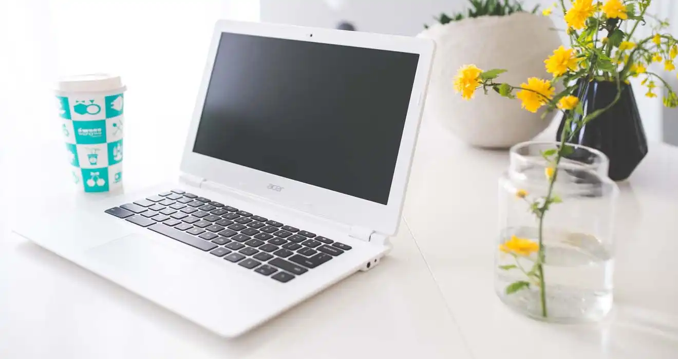 Ремонт ноутбуков Acer в Дедовске